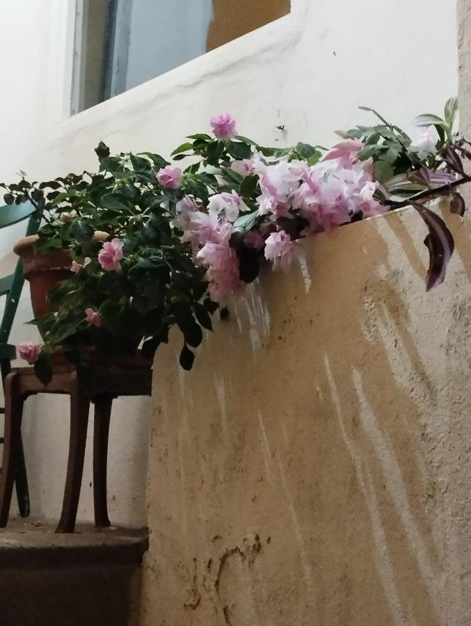 Um Quarto Da Casa Do Monte Vila Franca do Campo Esterno foto