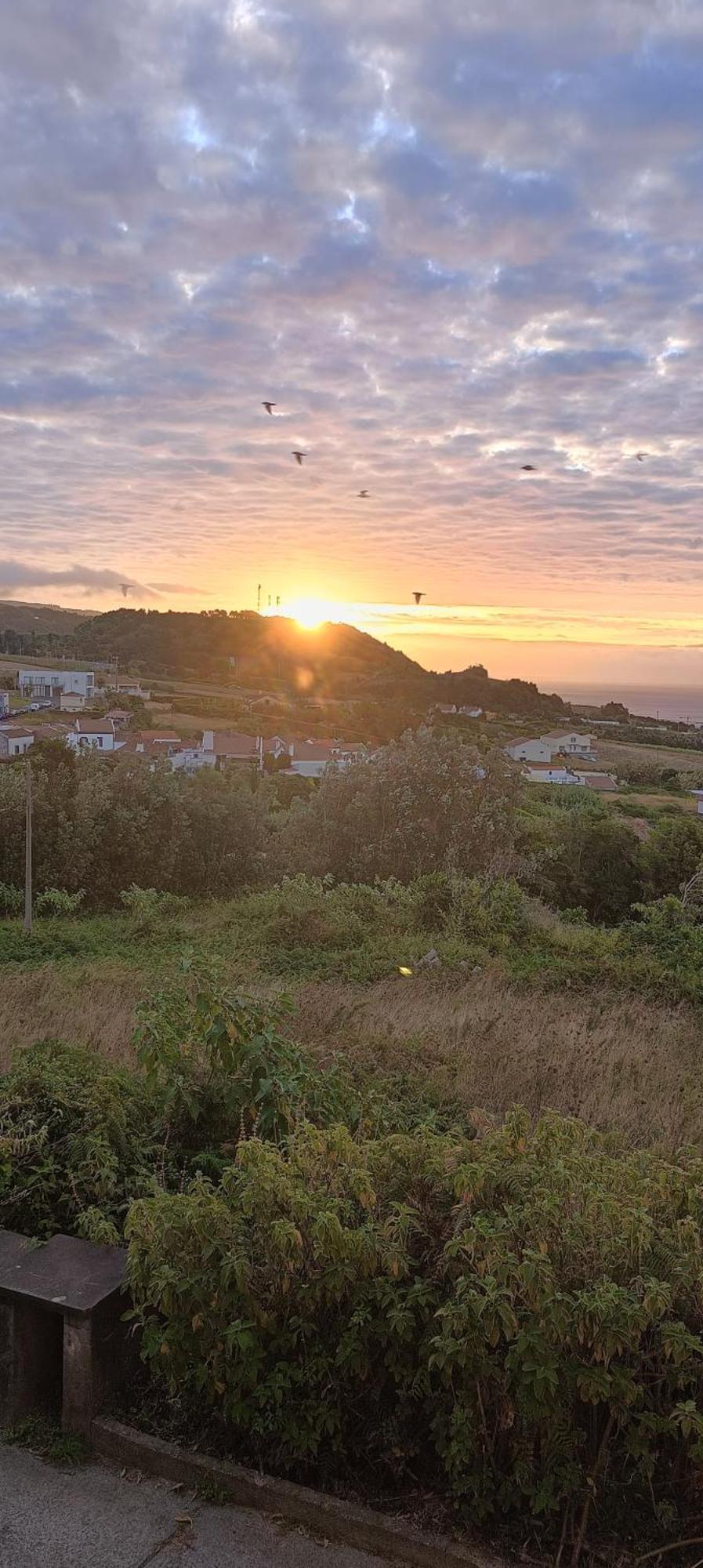 Um Quarto Da Casa Do Monte Vila Franca do Campo Esterno foto